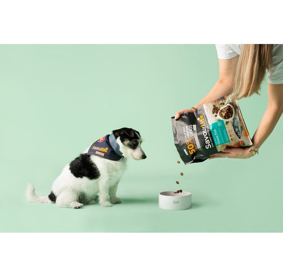 SavourLife – Adult Dog – Essentials – Australian Ocean Fish - image 5