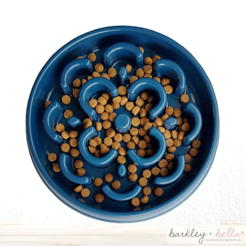 Dogs Slow Food Feeder