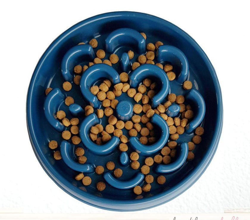 Dogs Slow Food Feeder