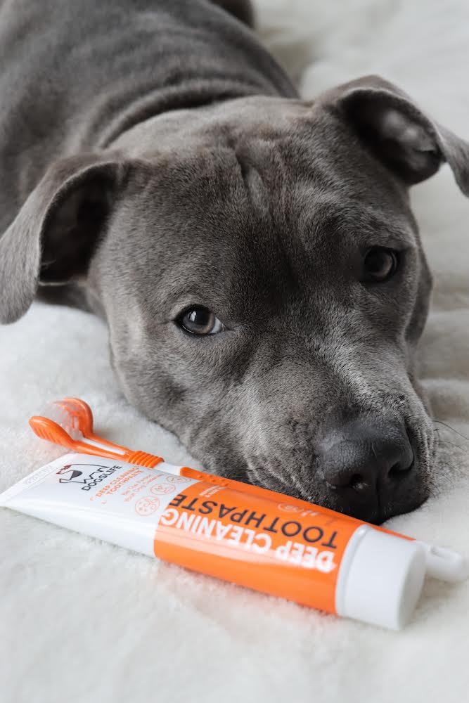 Dogslife – Deep Cleaning Toothpaste - image 4