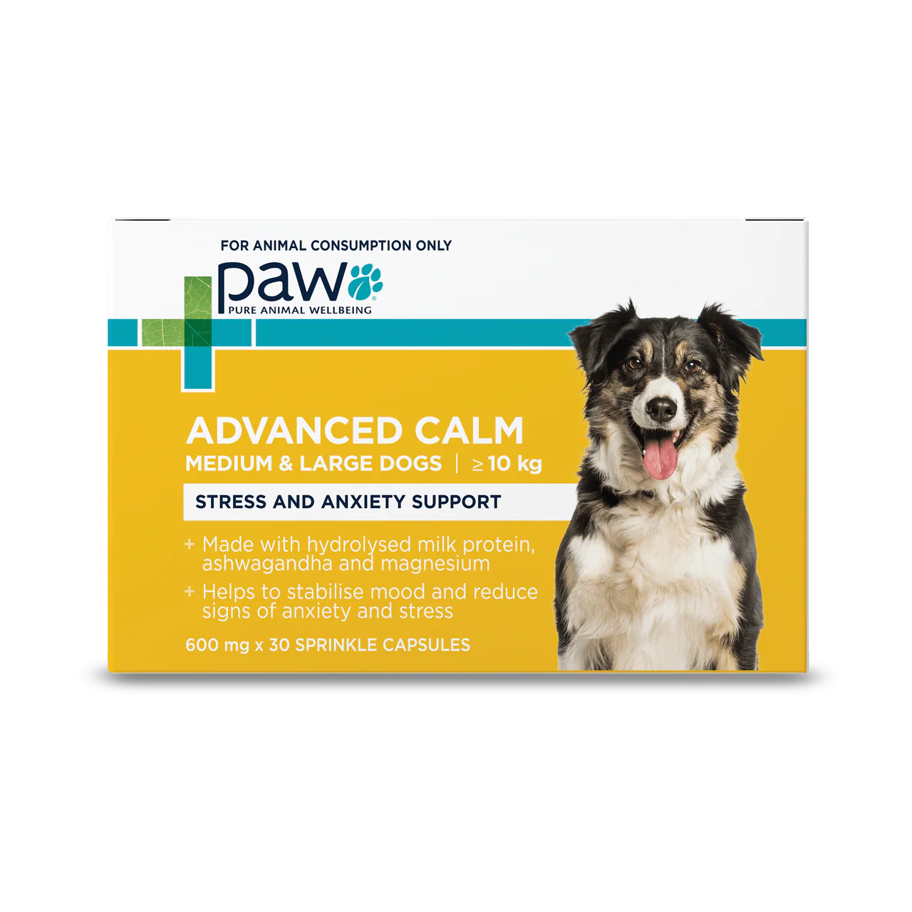 PAW – Advanced Calm