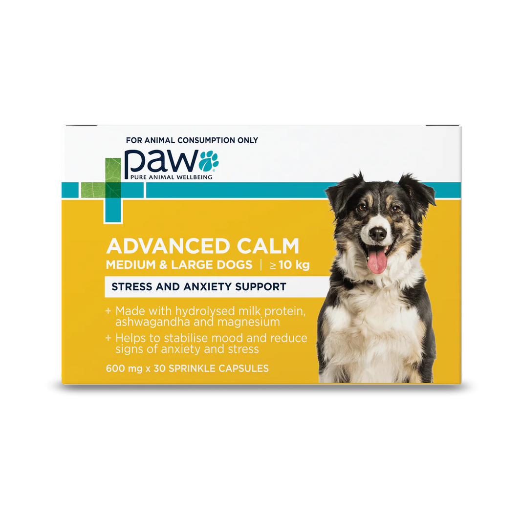 PAW – Advanced Calm
