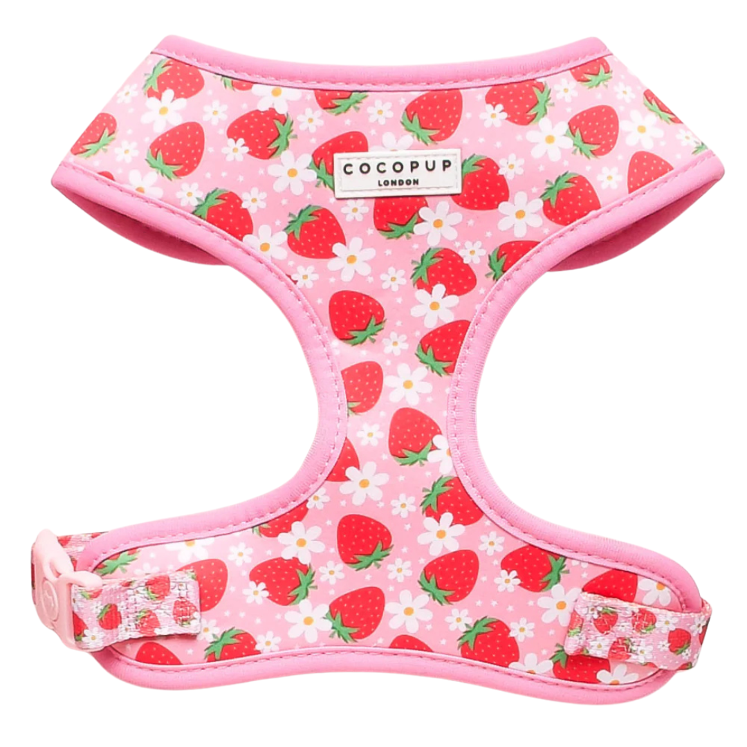 Cocopup Adjustable Neck Harness – Stylish, Comfortable, and Built for Everyday Adventures - image 7