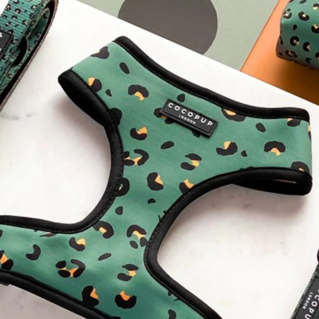 Cocopup Adjustable Neck Harness – Stylish, Comfortable, and Built for Everyday Adventures