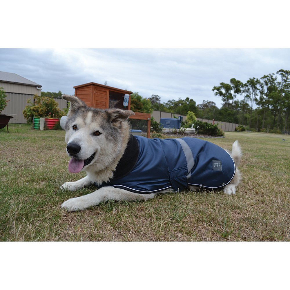 Waterproof Dapper Dog Coat – Old Navy