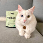 PetzPark – Probiotic – For Cats