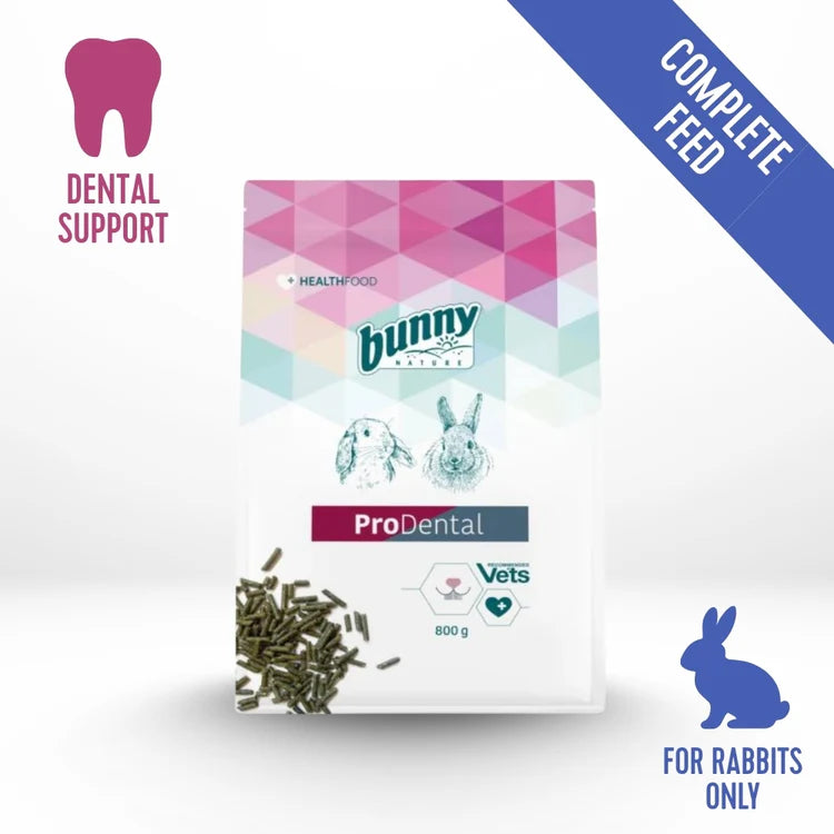 Bunny Nature – ProDental - image 3
