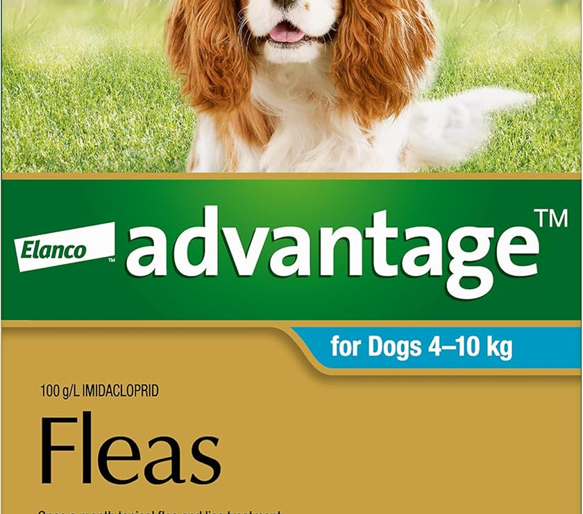Advantage Flea Treatment for Dogs