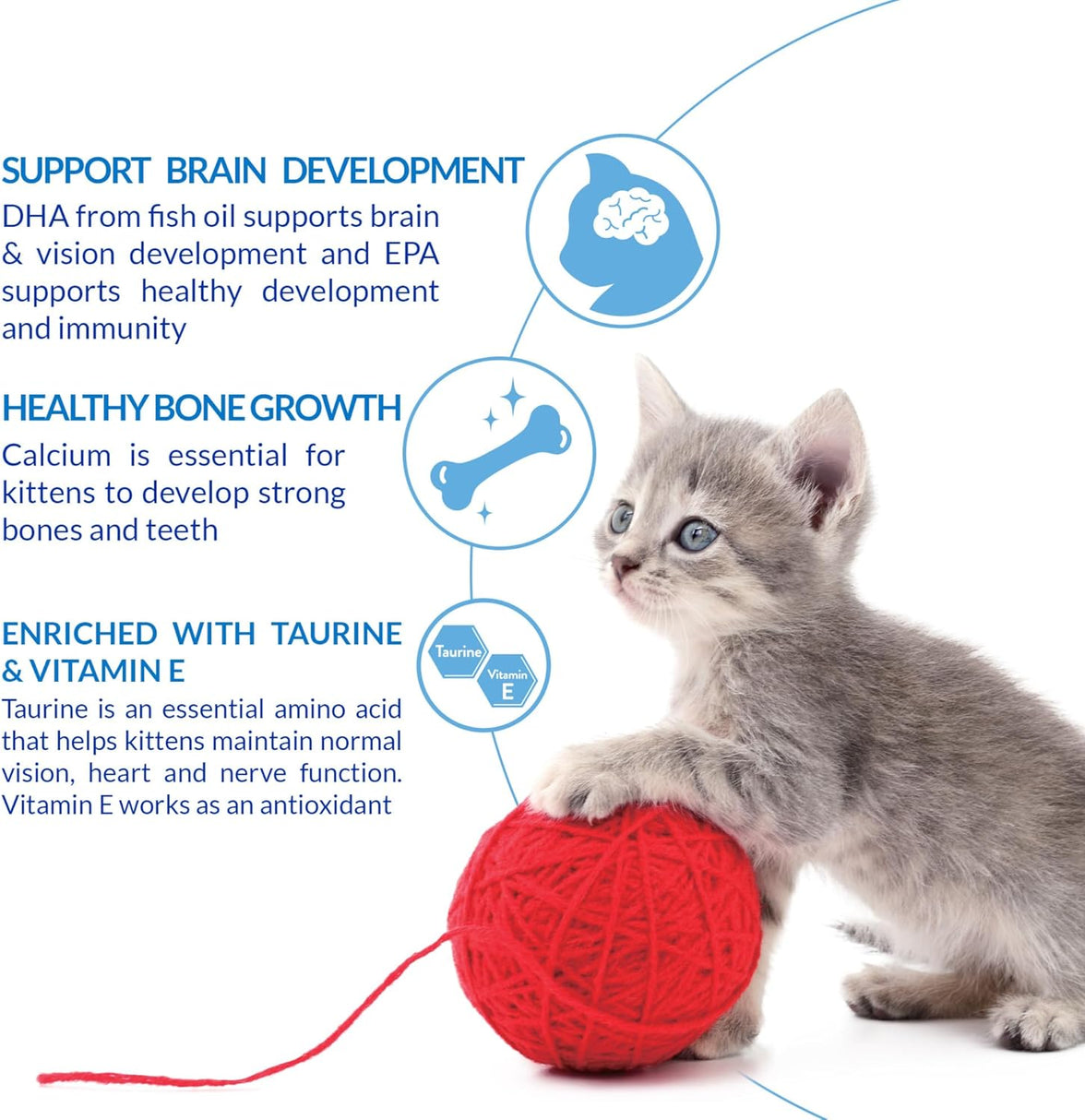 Inaba – Churu for Kitten