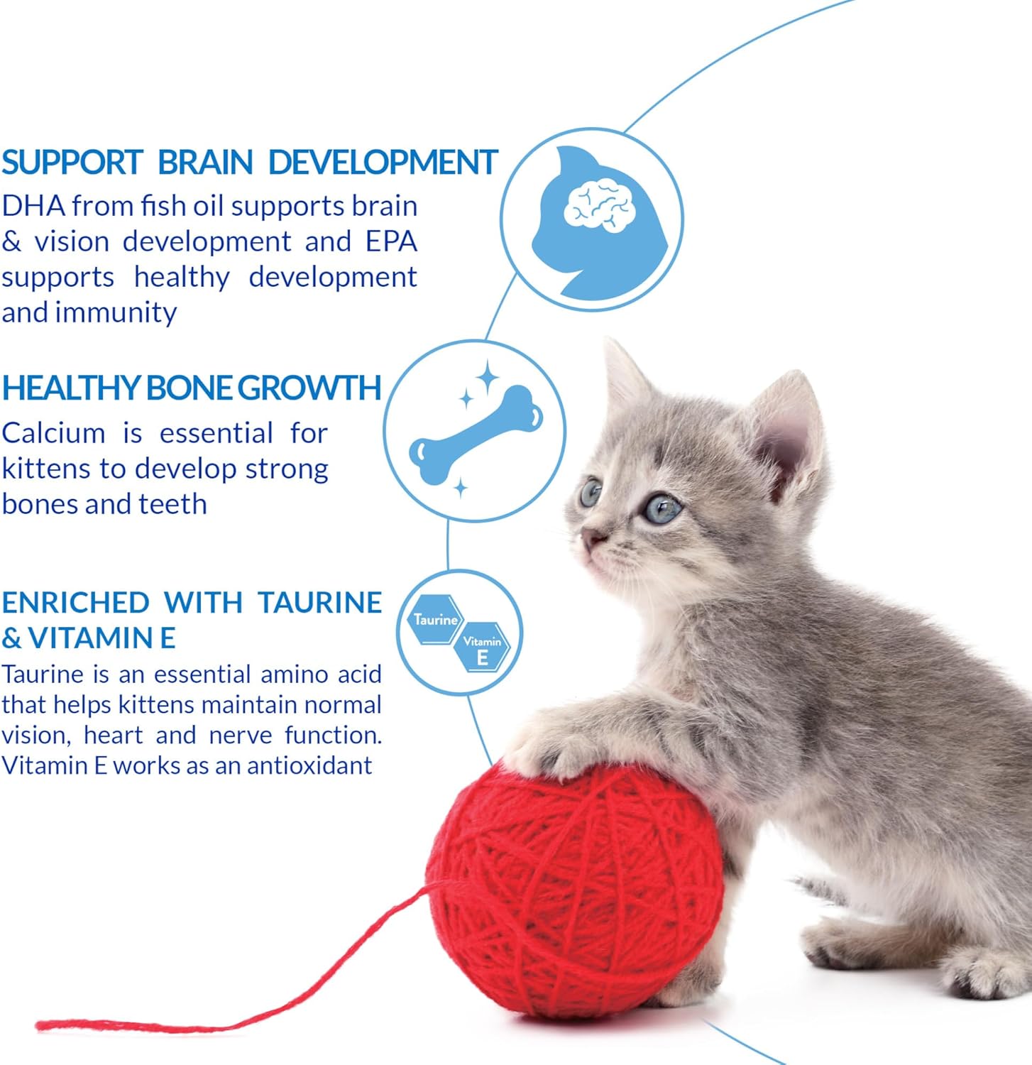 Inaba – Churu for Kitten - image 7