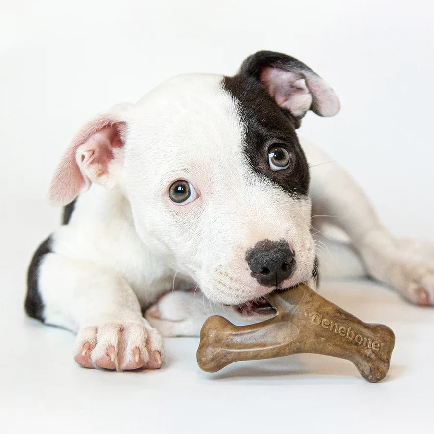 Bacon Puppy Wishbone Soothing Chews - image 2