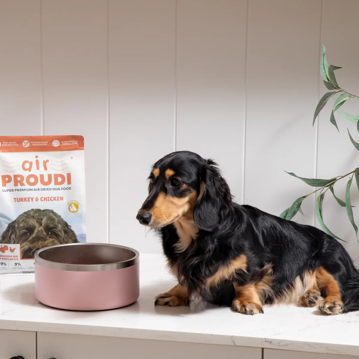 Proudi - Air Dried Dog Food Turkey & Chicken Super Premium Complete Meal