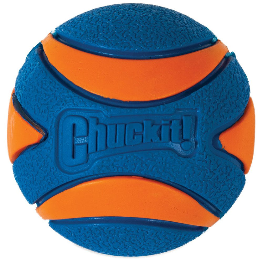 Chuckit! – Ultra Squeaker Ball