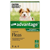 Advantage Flea Treatment for Dogs