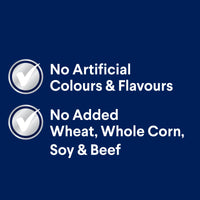 Advance – Adult Dog – All Breeds – Chicken with Rice