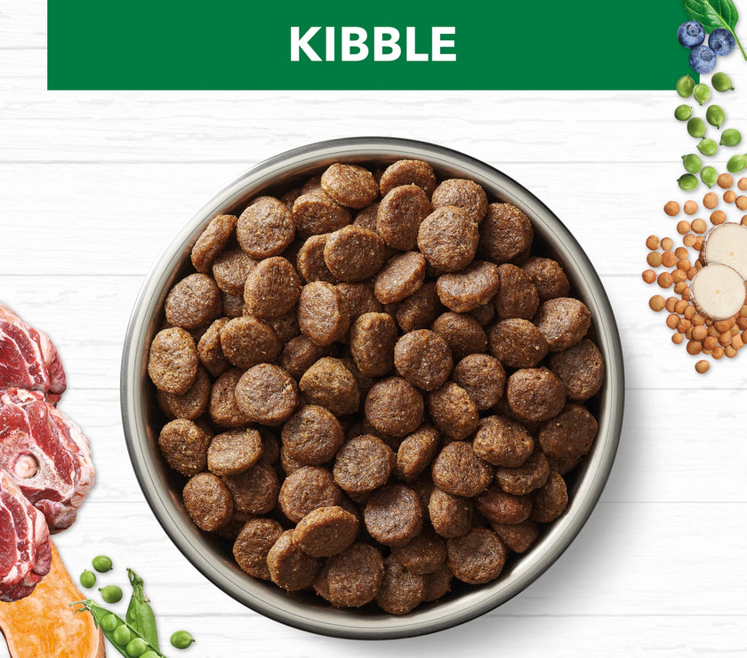 Adult Dog Food -  Large Breed – GRAIN FREE – Lamb