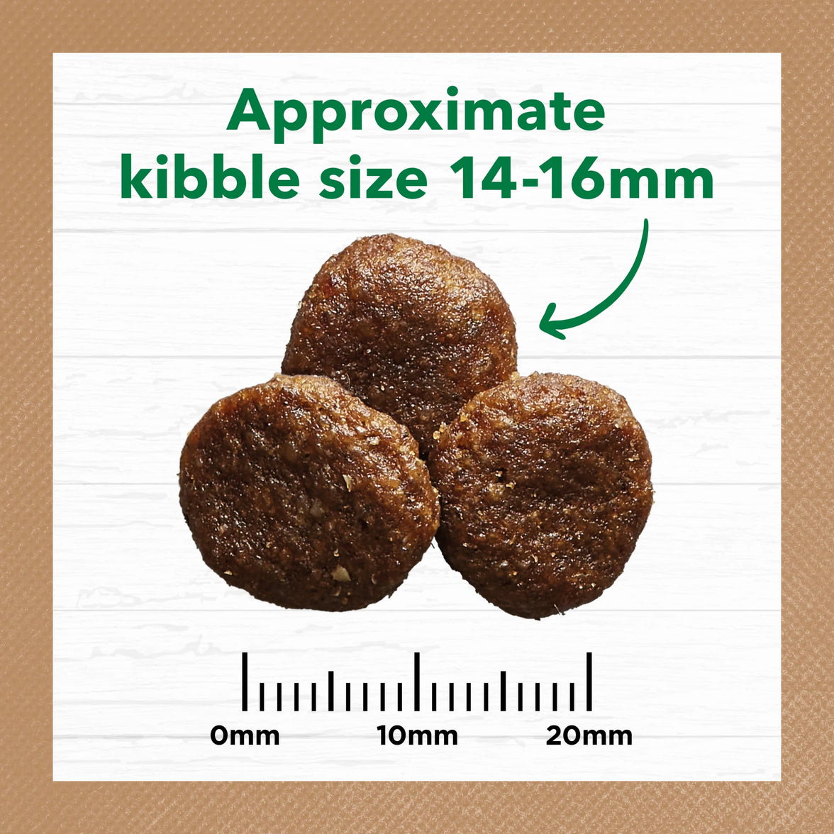 Adult Dog Food -  Large Breed – GRAIN FREE – Lamb