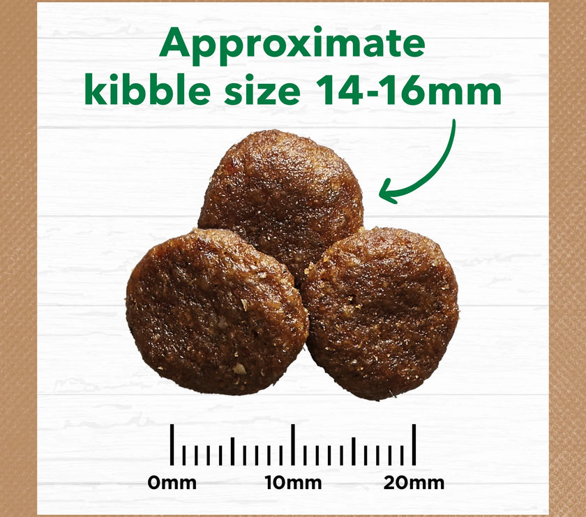 Adult Dog Food -  Large Breed – GRAIN FREE – Lamb