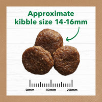 Adult Dog Food -  Large Breed – GRAIN FREE – Lamb