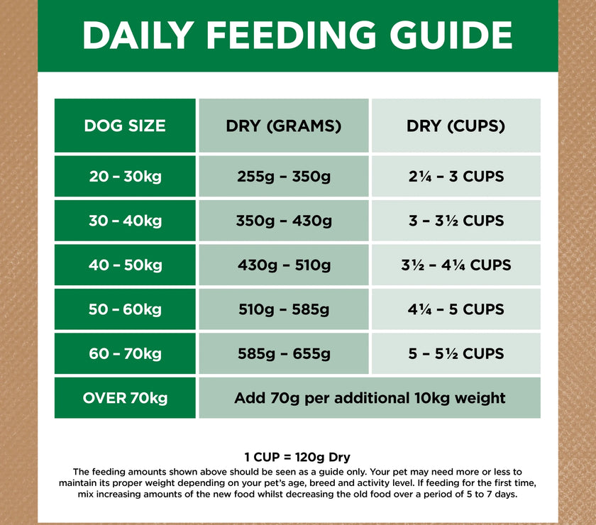 Adult Dog Food -  Large Breed – GRAIN FREE – Lamb