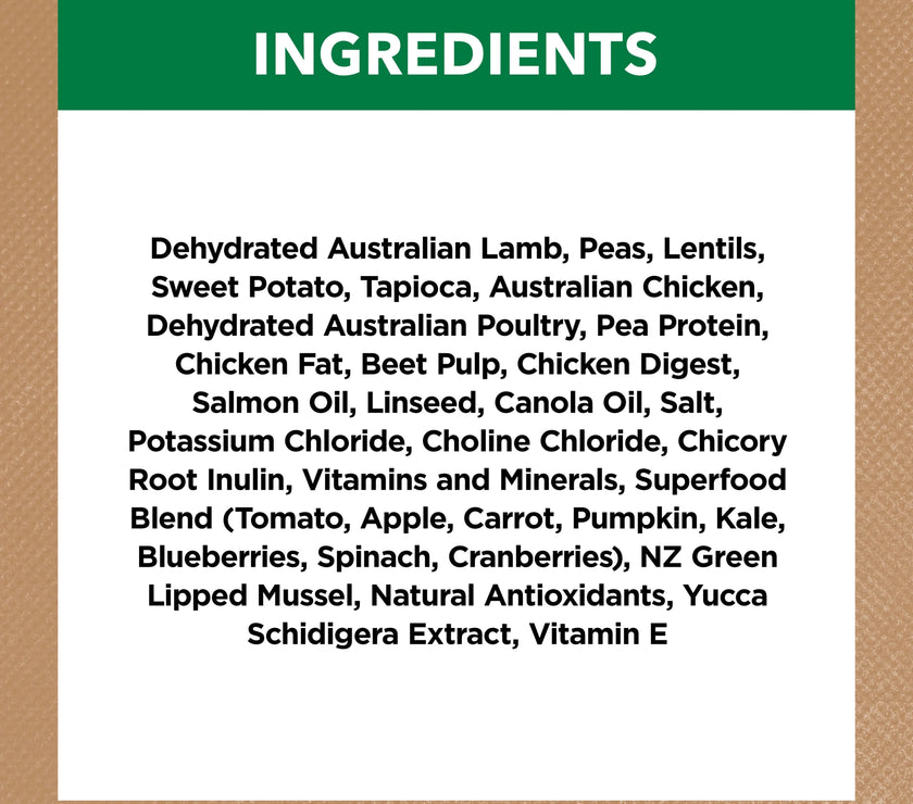 Adult Dog Food -  Large Breed – GRAIN FREE – Lamb