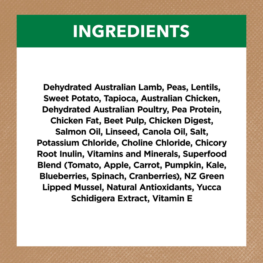 Adult Dog Food -  Large Breed – GRAIN FREE – Lamb