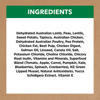 Adult Dog Food -  Large Breed – GRAIN FREE – Lamb