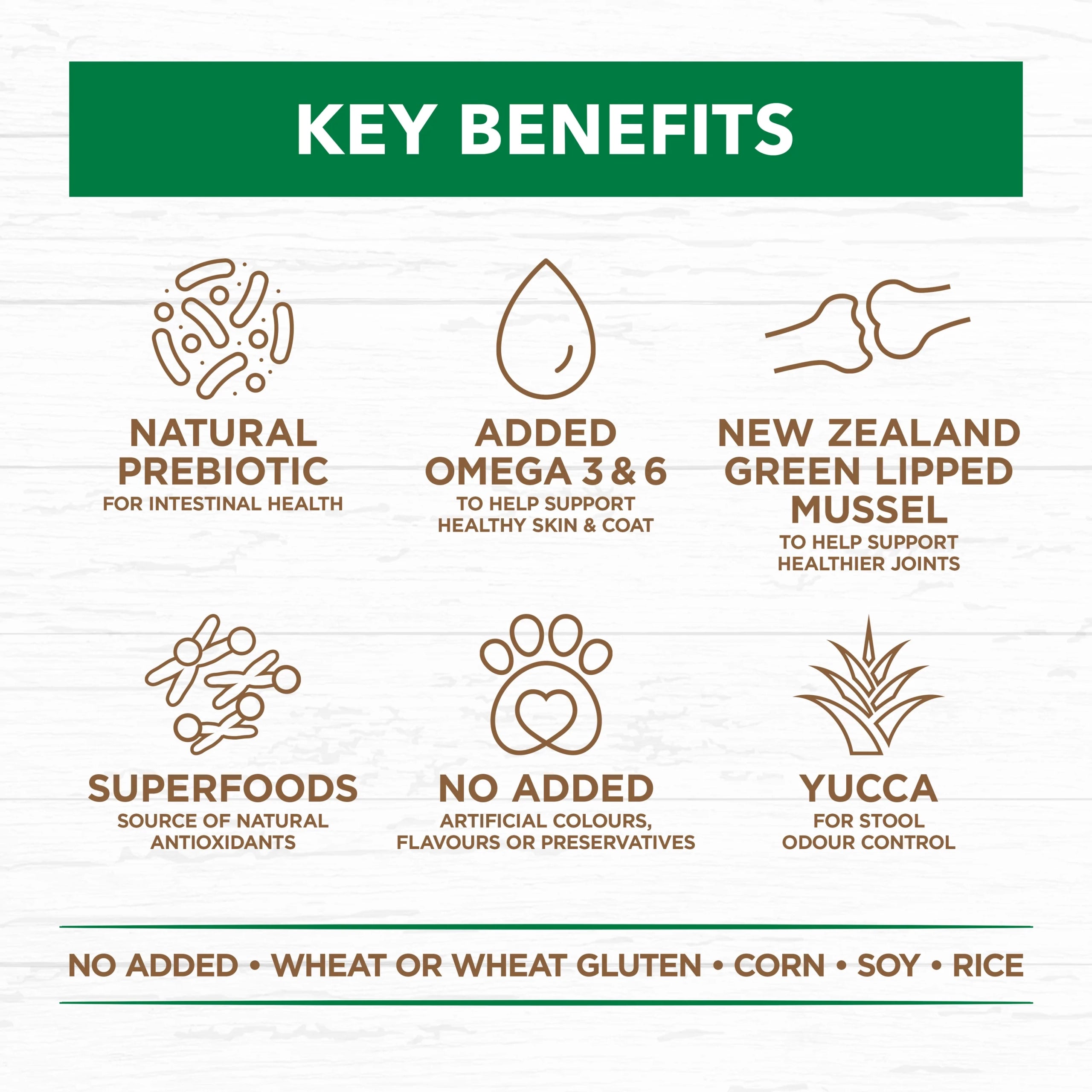 Adult Dog Food -  Large Breed – GRAIN FREE – Lamb