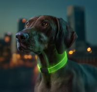 WAUDOG LED Collar – Rechargeable RGB Light-Up Dog Collar for Night Safety