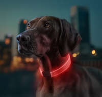 WAUDOG LED Collar – Rechargeable RGB Light-Up Dog Collar for Night Safety