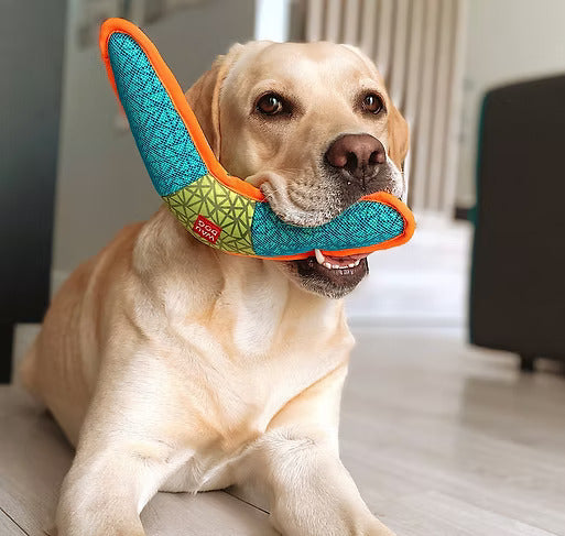 Fun Dog Toy Boomerang