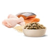 Advance Dry Dog Food for Adult Dog Retrievers - image 4