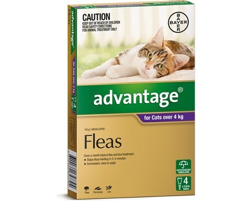 Advantage Flea Treatment for Cats