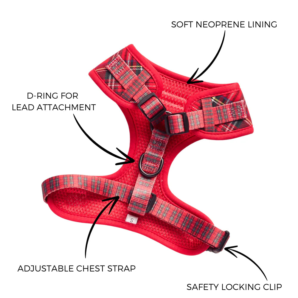 Dogs Adjustable Neck Harness – Tartan