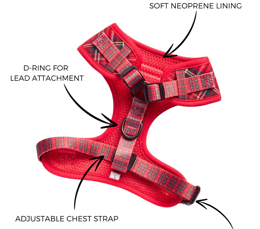 Dogs Adjustable Neck Harness – Tartan