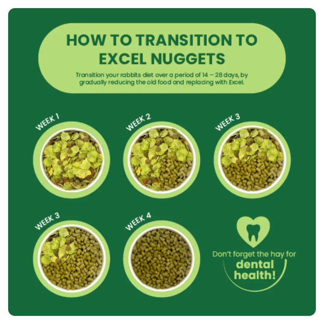 Burgess Excel – Adult Rabbit Nuggets with Mint