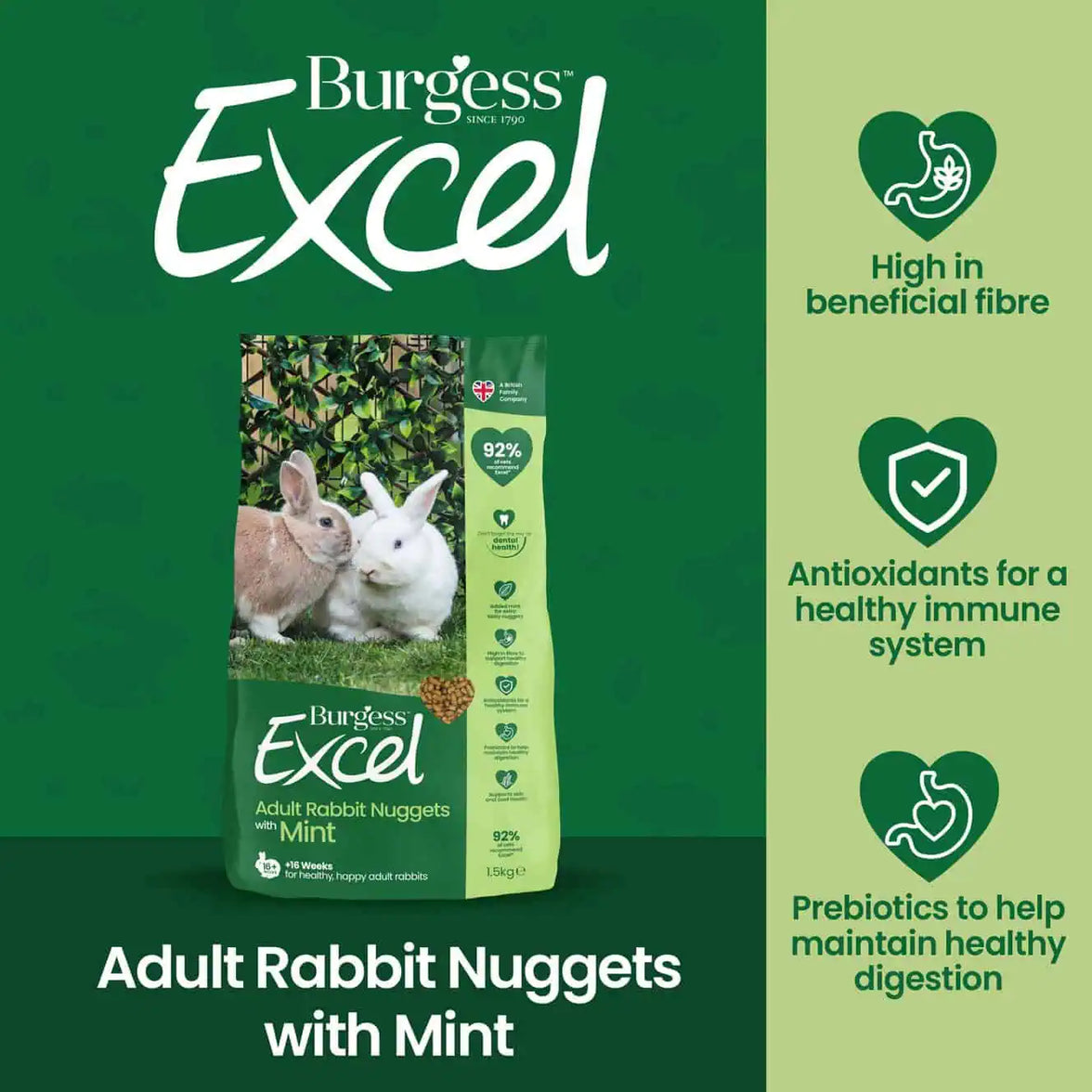 Burgess Excel – Adult Rabbit Nuggets with Mint