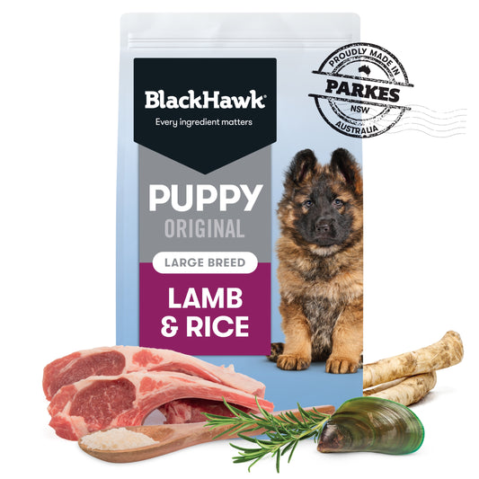 Black Hawk – Puppy – Large Breed – Lamb & Rice