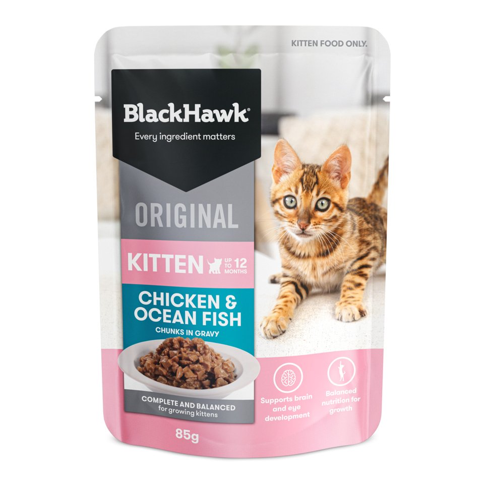 Black Hawk - Pouches for Kittens - image 3