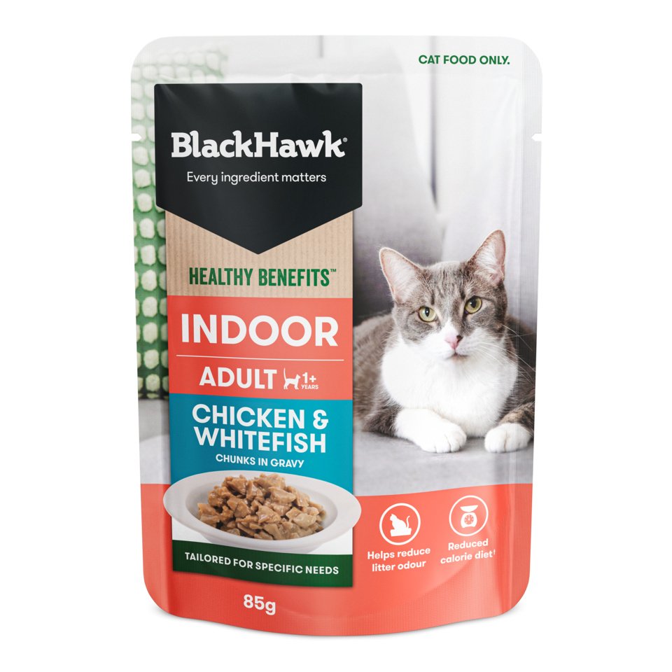 Black Hawk – Pouches – Adult Cat - image 10