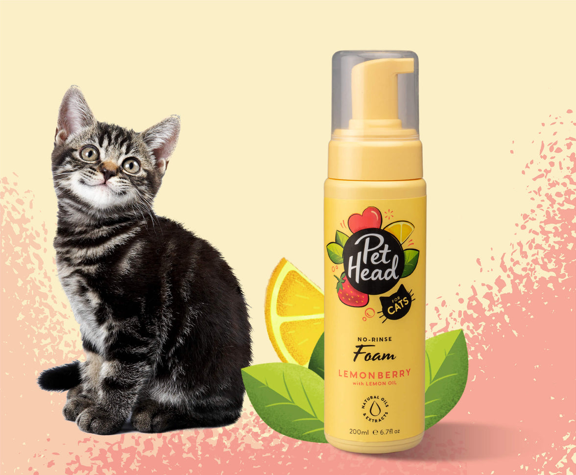 Cats Lemon Berry Grooming Range