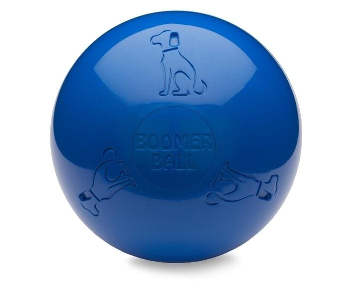 Company of Animals – Boomer Ball