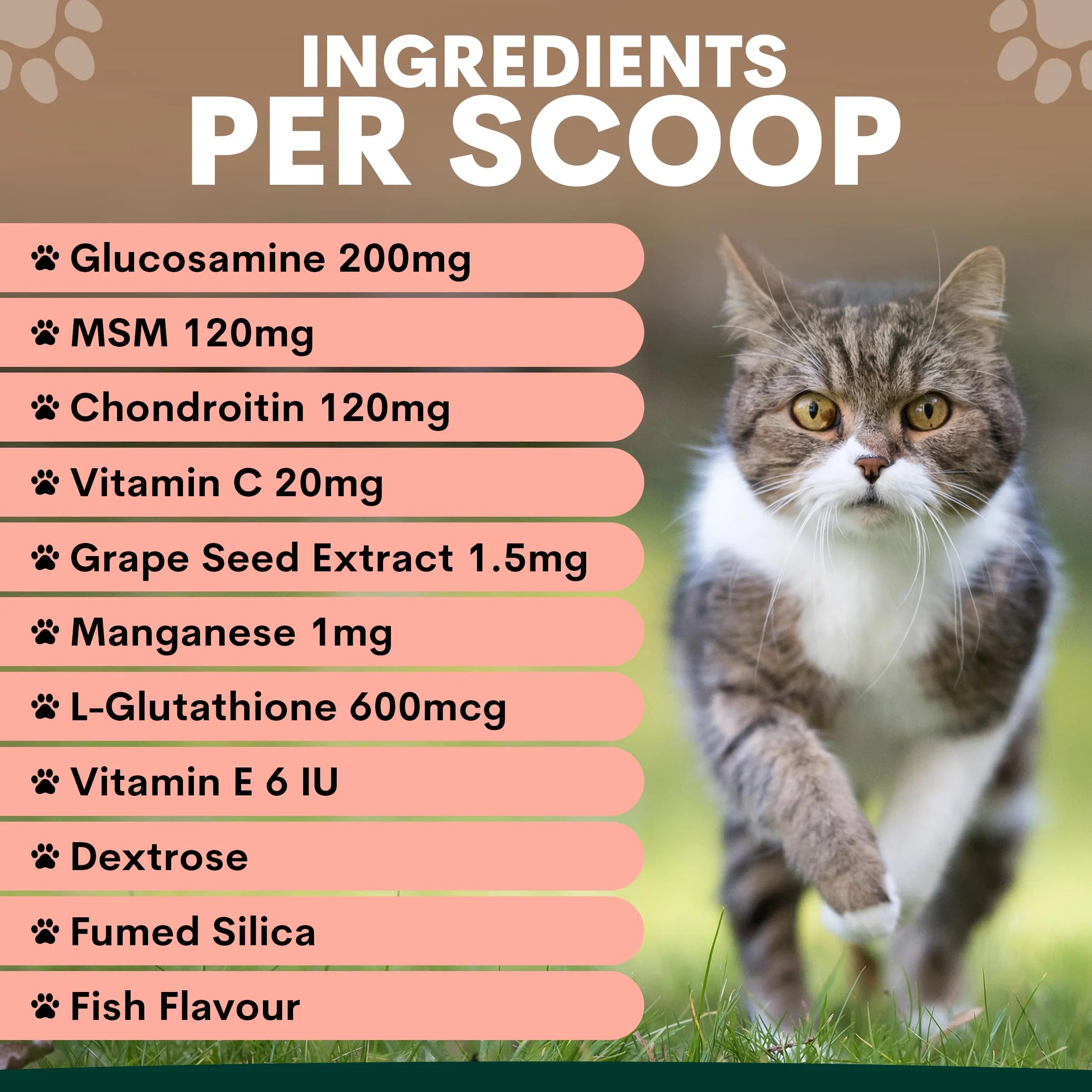 PetzPark – Hip + Joint – For Cats - image 2