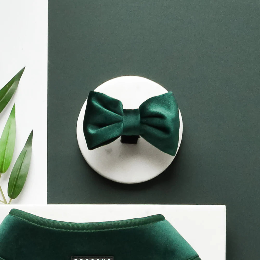 LUXE Dog Bow Tie – Forest Green Velvet