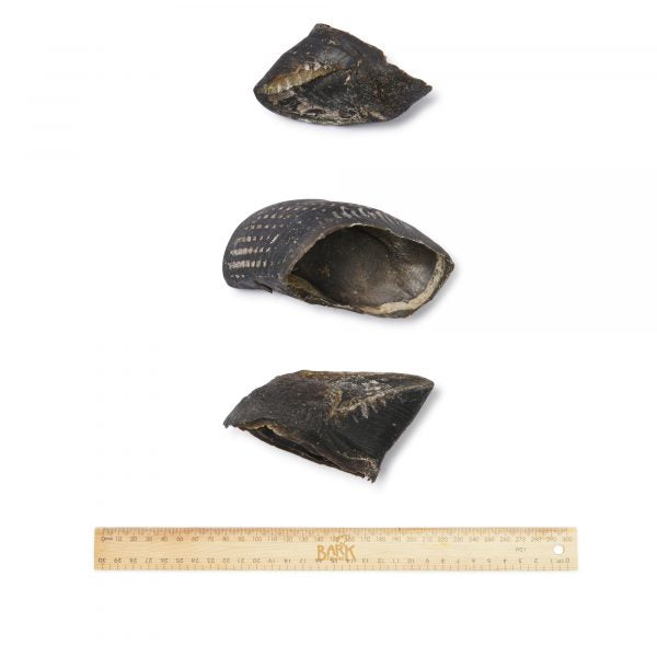 Bark & Beyond | Dog Treats | Cow Hooves - image 2