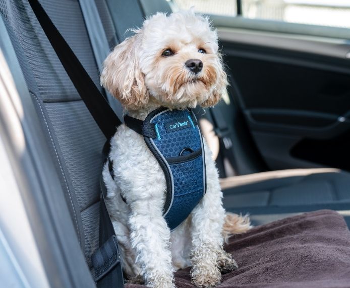 CarSafe – Crash Tested Harness – Blue - image 7