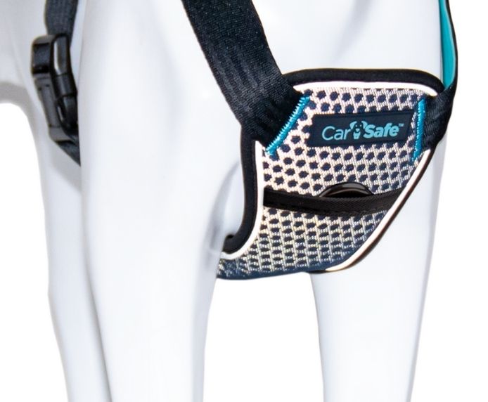 CarSafe – Crash Tested Harness – Blue - image 2
