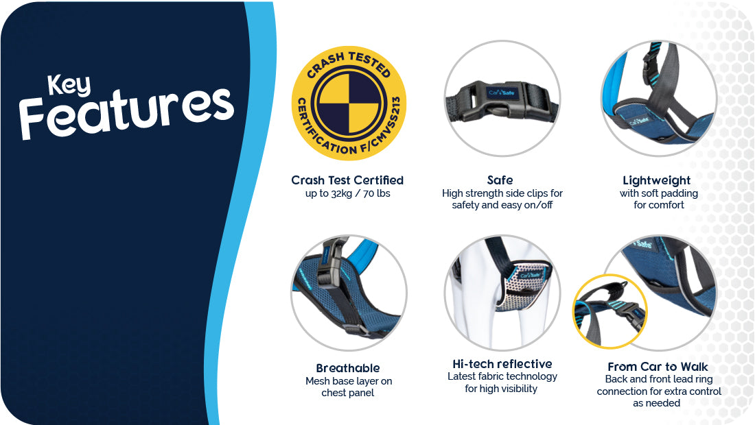 CarSafe – Crash Tested Harness – Blue - image 5