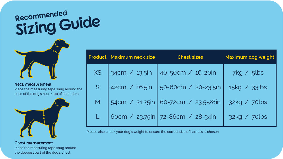 CarSafe – Crash Tested Harness – Blue - image 3