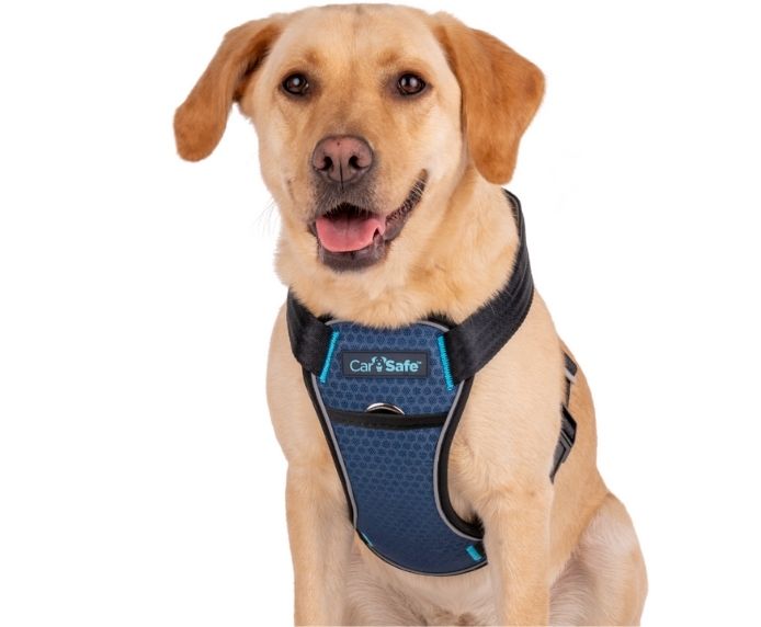 CarSafe – Crash Tested Harness – Blue - image 4